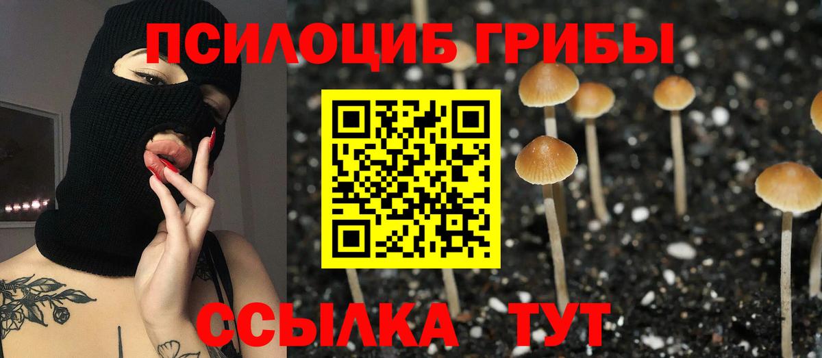 Видное  Псилоцибиновые грибы Psilocybine cubensis  Галлюциногенные грибы прущие грибы  сколько стоит  Вход с VPN 